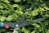 Ножницы для живой изгороди Gardena Classic 540 FSC черный (00391-20.000.00)