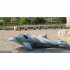 Плотик Дельфин 201х76см, от 3 лет