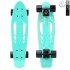 405-A Скейтборд Y-Scoo Skateboard Fishbone с ручкой 22&quot; винил 56,6х15 с сумкой Aqua/black