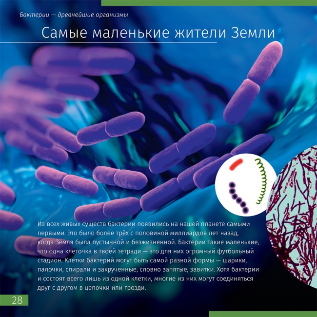 Книга знаний "Невидимый мир" Книга знаний "Невидимый мир"