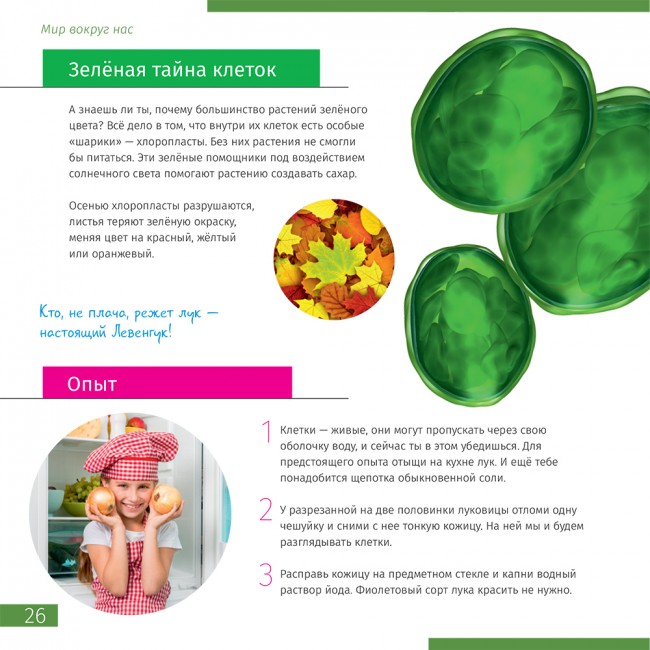 Книга знаний "Невидимый мир" Книга знаний "Невидимый мир"