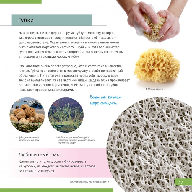 Книга знаний "Невидимый мир" Книга знаний "Невидимый мир"