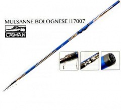 Удилище Caiman Mulsanne Bolognese IM10 SIC с кольцами 7,0м - вес 282гр. Удилище Caiman Mulsanne Bolognese IM10 SIC с кольцами 7,0м - вес 282гр.