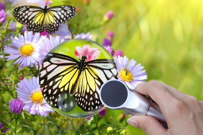 Лупа Levenhuk Zeno 400, 2/4x, 88/21 мм, 2 LED, металл Лупа Levenhuk Zeno 400, 2/4x, 88/21 мм, 2 LED, металл