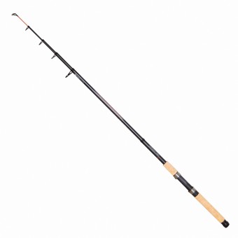 Удилище Robinson Dina Core Tele Bream 3.0 м. - 20-50 г, Польша 11Y-TB-030 Удилище Robinson Dina Core Tele Bream 3.0 м. - 20-50 г, Польша 11Y-TB-030