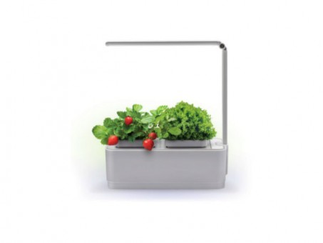 Компактный умный сад с подсветкой Назад К Истокам iGarden LED (GL2018), цвет белый Компактный умный сад с подсветкой Назад К Истокам iGarden LED (GL2018), цвет белый