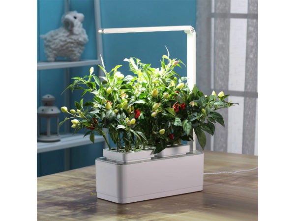 Компактный умный сад с подсветкой Назад К Истокам iGarden LED   (GL2018), цвет белый