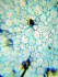 Микроскоп Levenhuk LabZZ M101 LimeЛайм