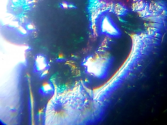 Набор Levenhuk LabZZ MT2: микроскоп и телескоп Набор Levenhuk LabZZ MT2: микроскоп и телескоп