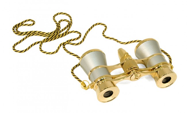 Бинокль Levenhuk Broadway 325F с подсветкой и цепочкой, серебряный